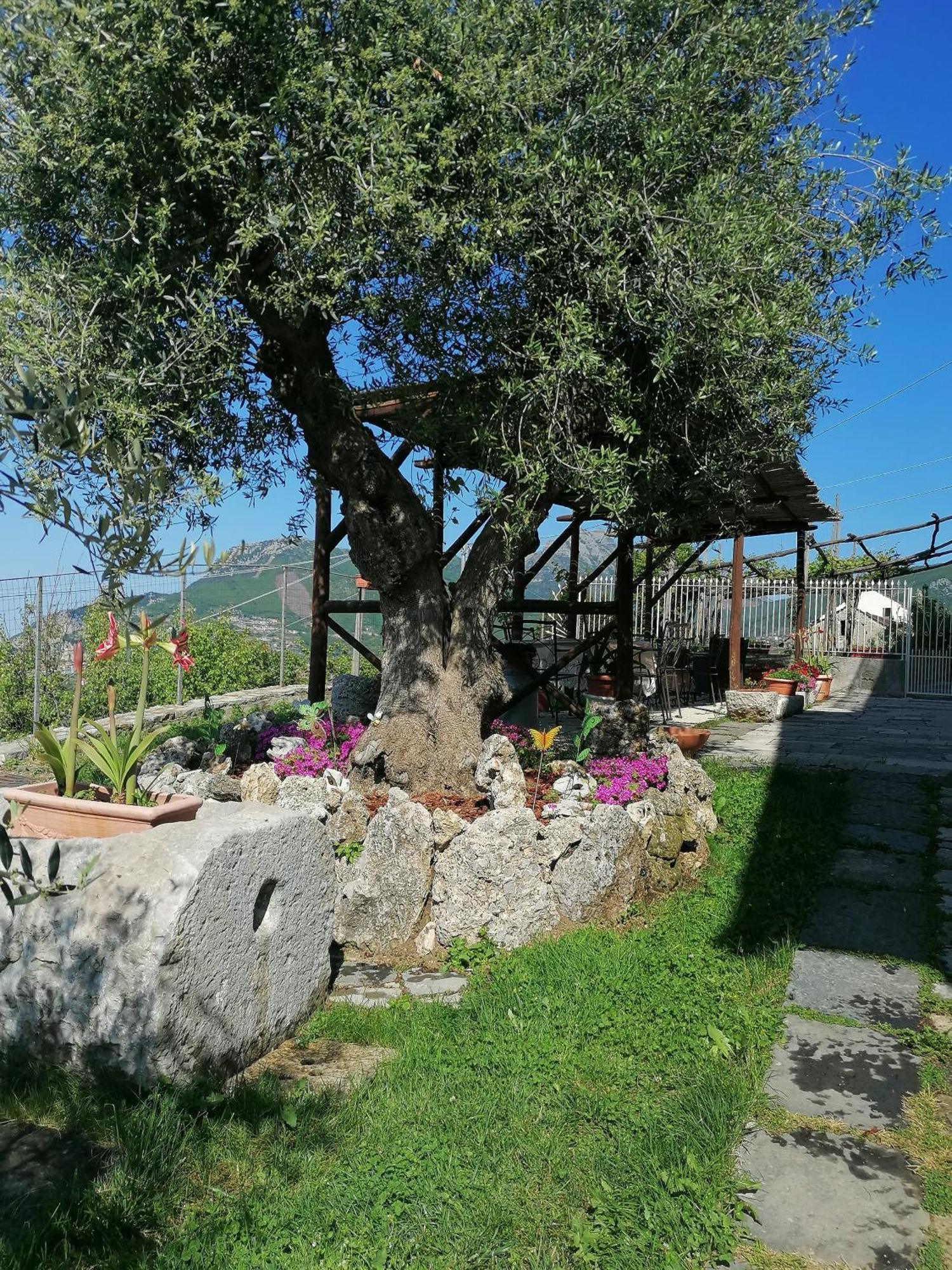 아제롤라 Il Casale Del Generale B&B 외부 사진